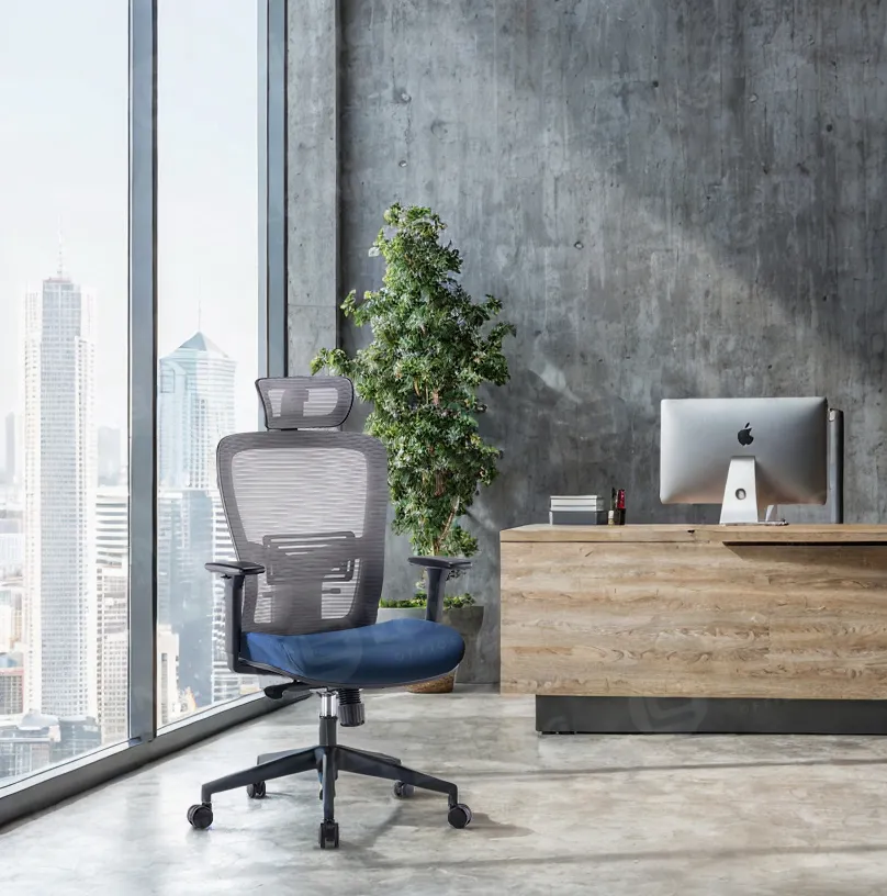 Discover Comfort of Compression Sofa