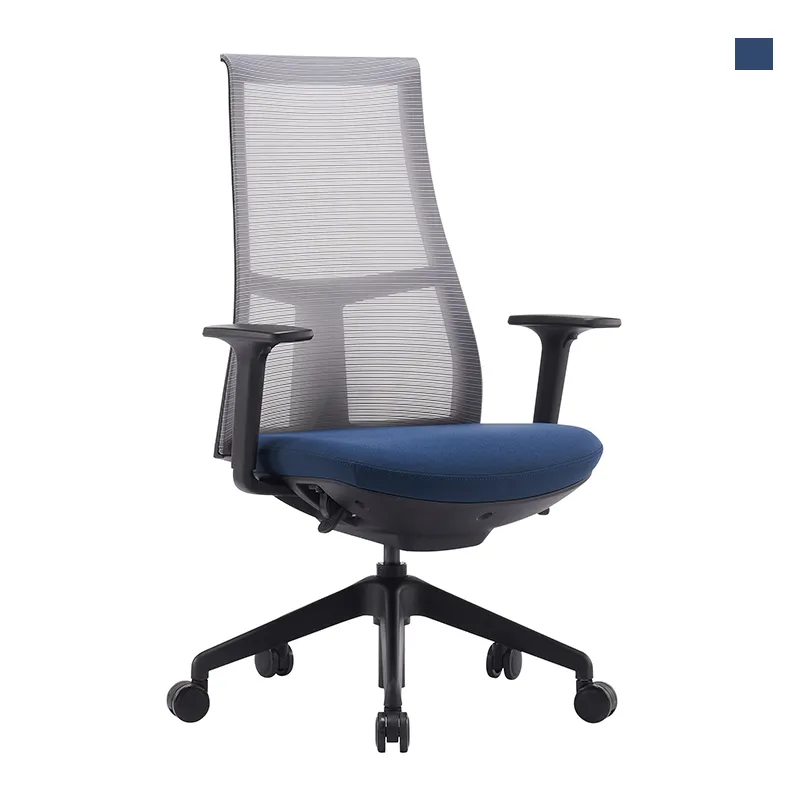Ergonomic Office Chair with Lumbar Support