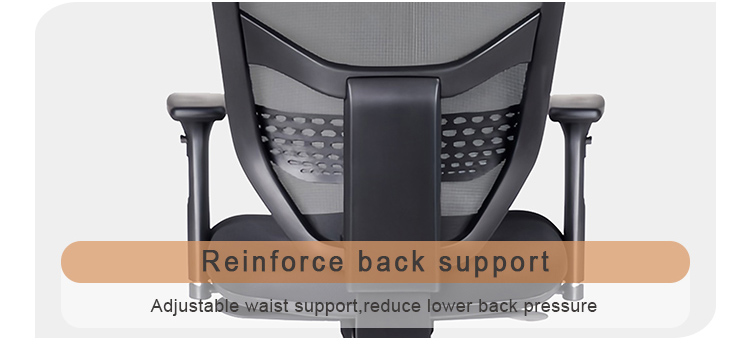 expensive ergonomic office chair laining