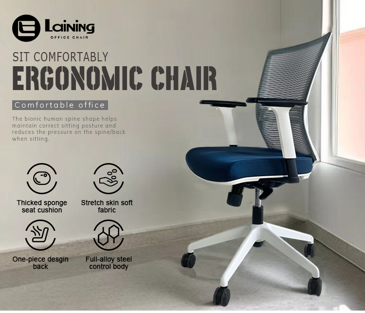 laining chairs visitors